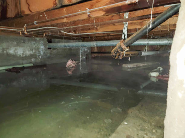 Best 24/7 water damage repair  in Fairfield, OH