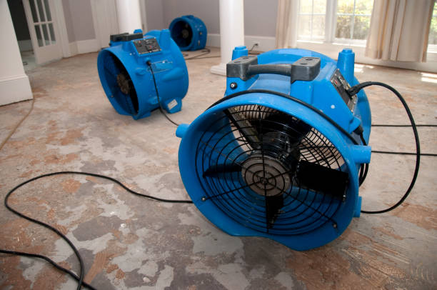 Best Water damage contractors near me  in Fairfield, OH