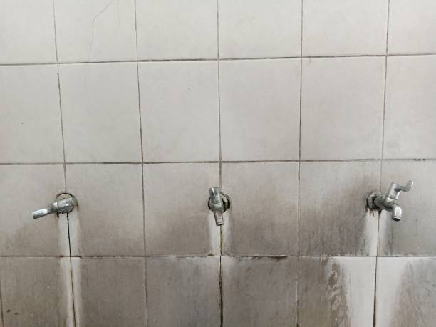 Best Flooded house restoration  in Fairfield, OH