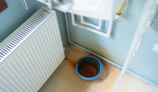 Best Mold removal after water damage  in Fairfield, OH